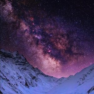 Meet your Posher, Rory